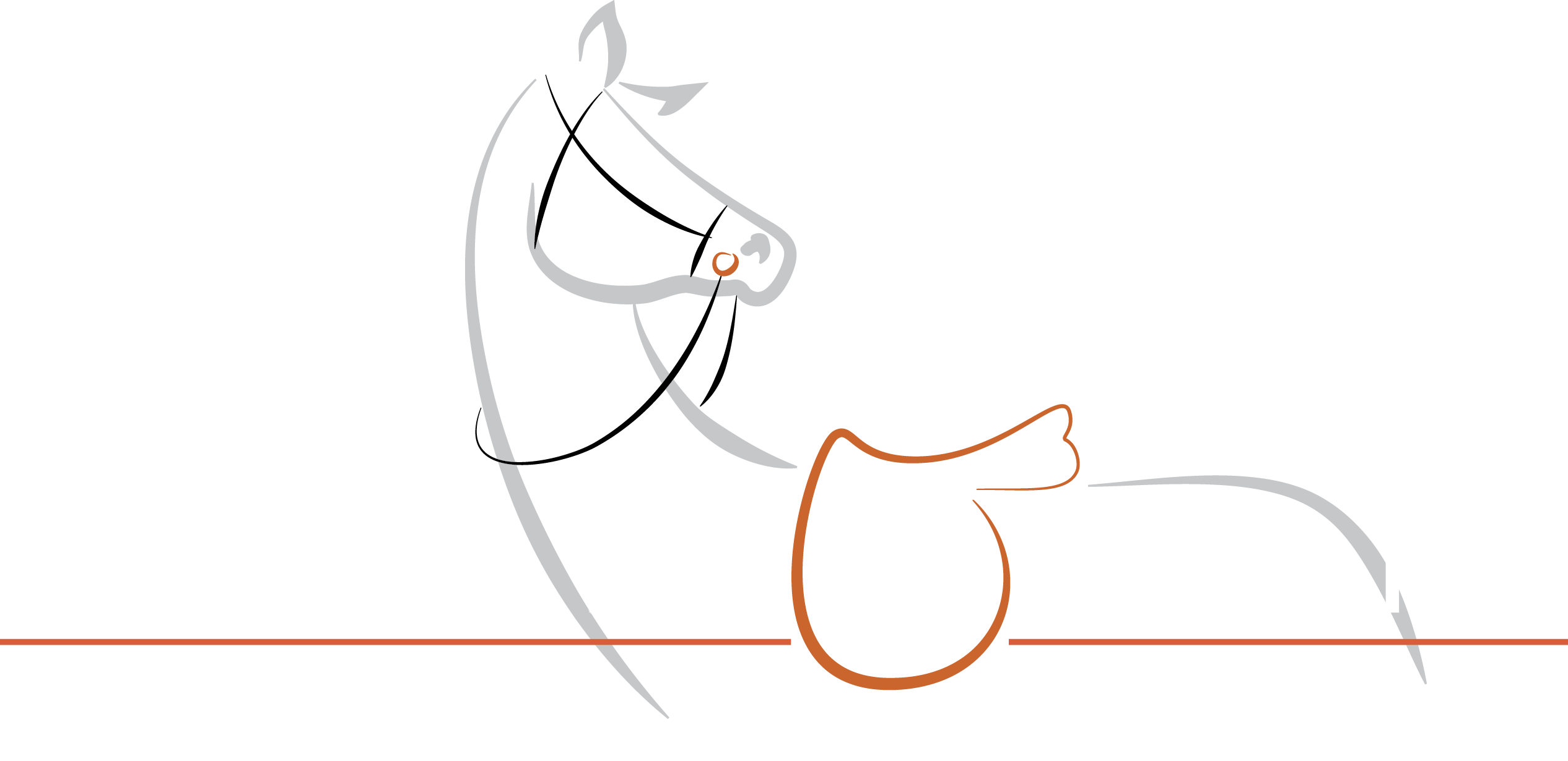 Logo Equid et Fitt Saddle et Fitting en Haute Savoie Rhône Alpes et Suisse