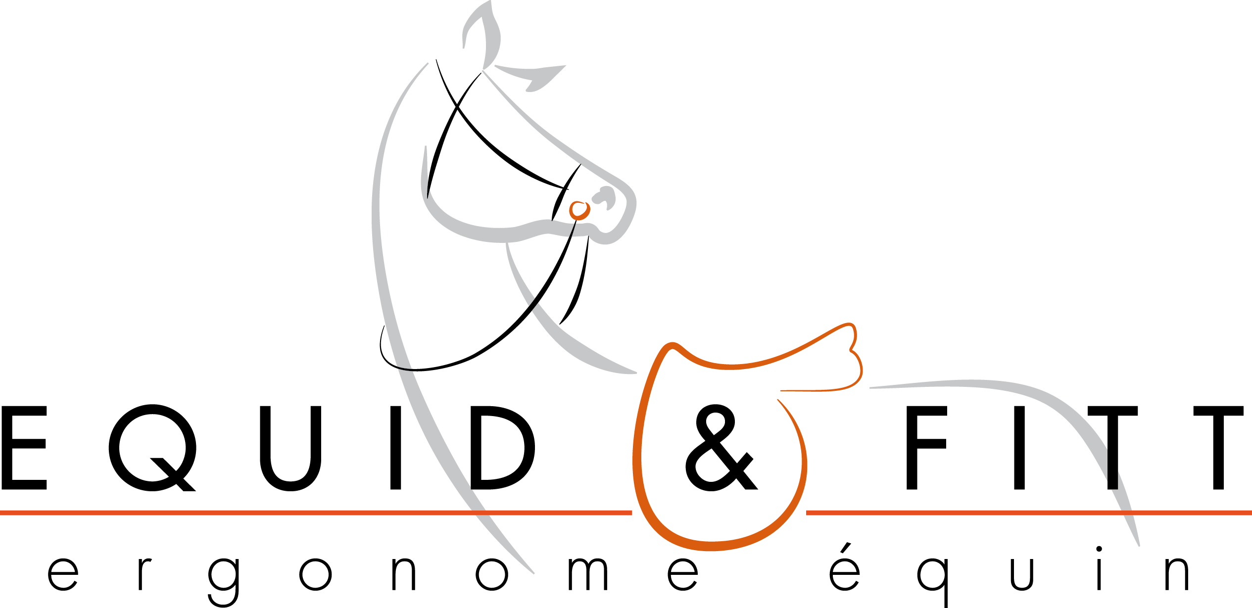 logo equid et fitt saddle fitting